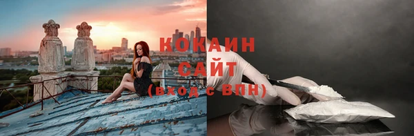 COCAINE Богородицк