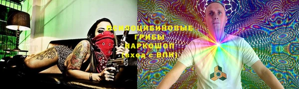 прущие крисы Богданович