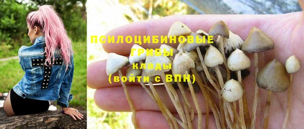 прущие крисы Богданович