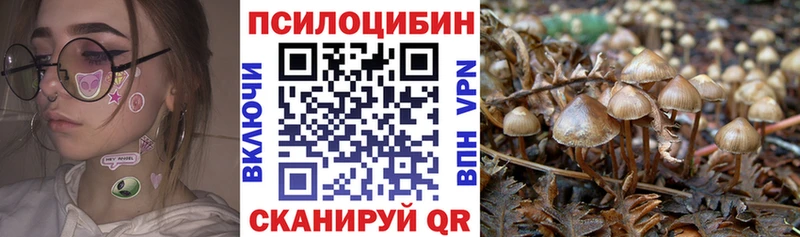 Галлюциногенные грибы мухоморы  хочу   Котово 